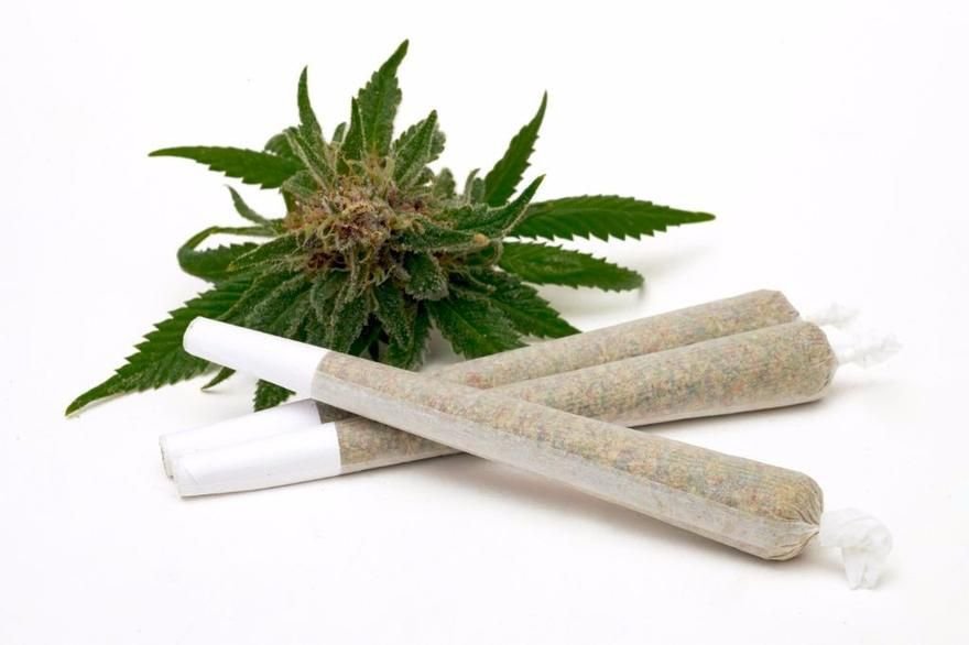 pre-rolled joints
