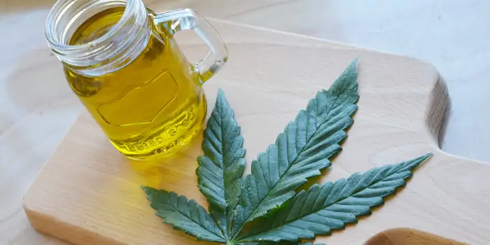 cannabis oil